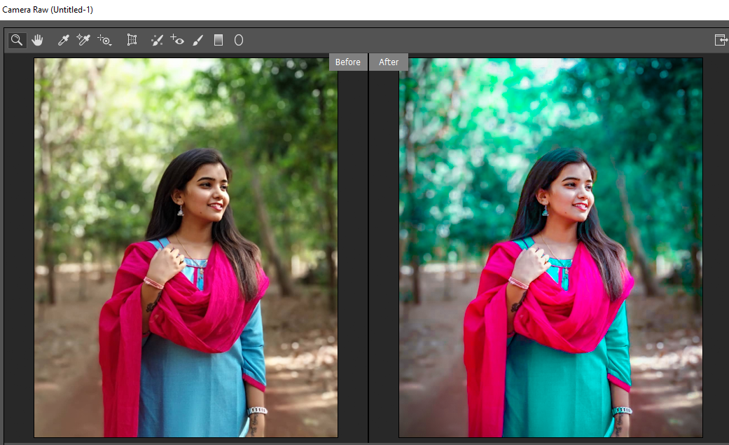 photoshop filters download free pc